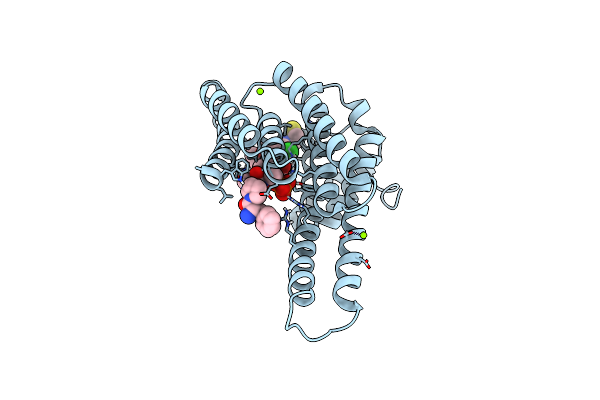 8AFN image