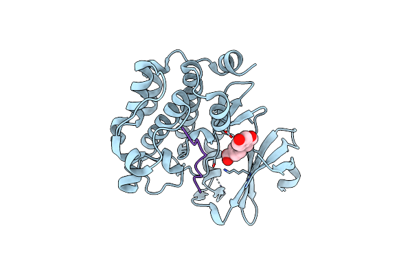 8AFR image