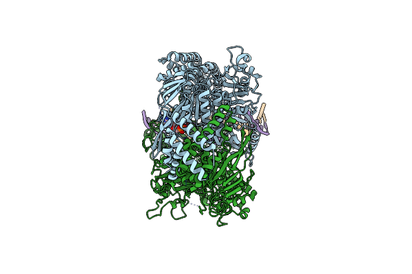 8AG6 image