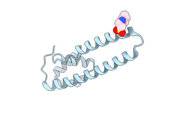 8AG8 image