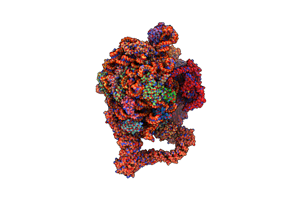 8AGW image