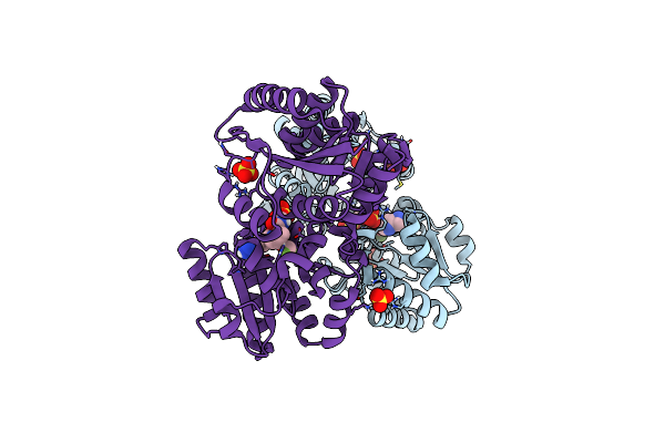 8AHF image