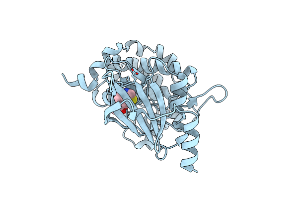 8AHI image