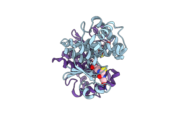 8AIB image
