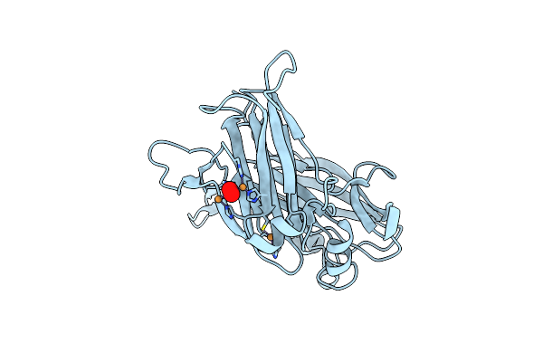 8AIP image