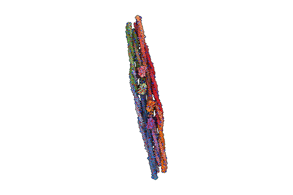 8AJB image
