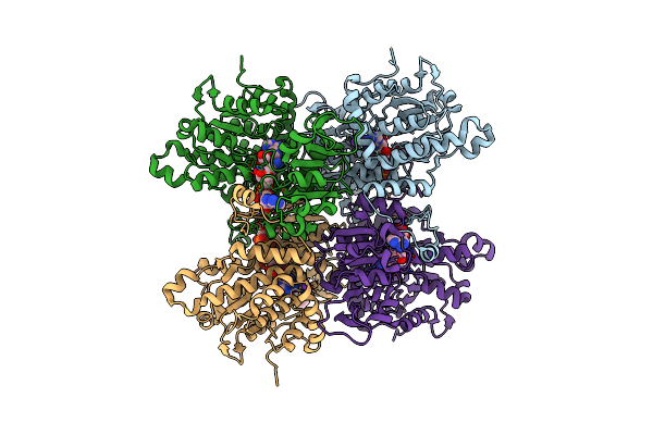 8AJS image