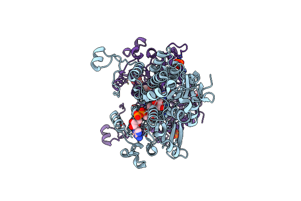 8AJU image