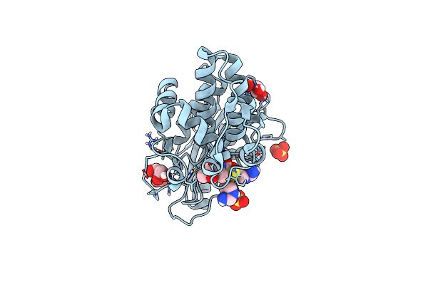 8AKK image