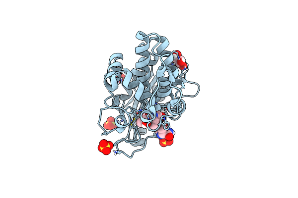 8AKM image