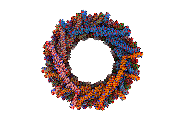 8AKT image