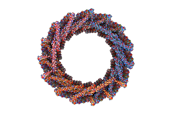 8AKW image