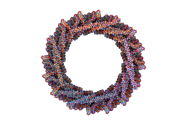8AKY image