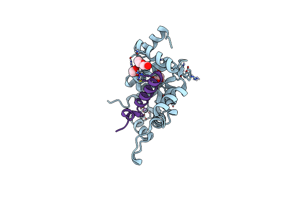 8ALM image