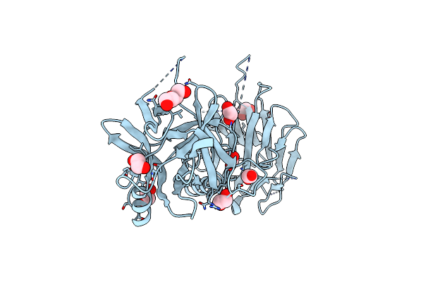 8ALP image