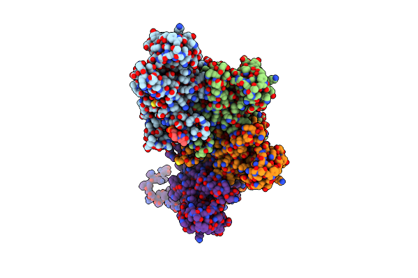8AMD image