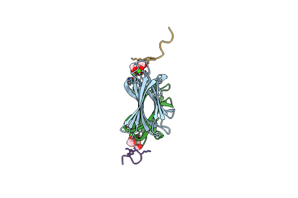 8ANR image