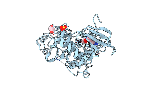 8AO2 image