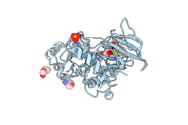 8AOH image