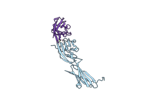 8AOM image