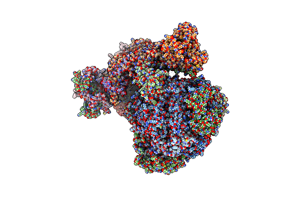 8APA image