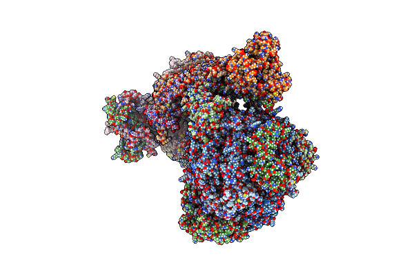 8APF image
