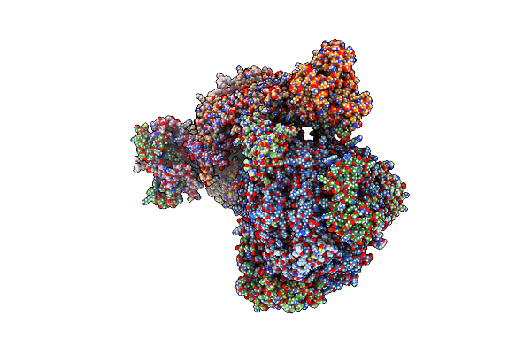 8APG image