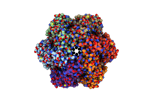 8APL image