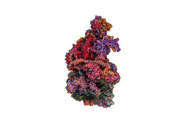 8APN image