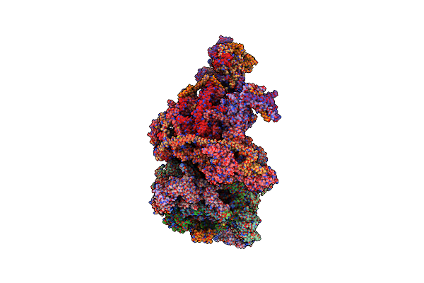 8APO image