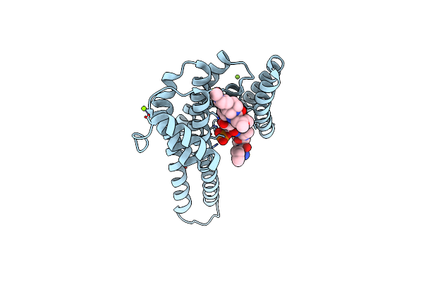 8APS image