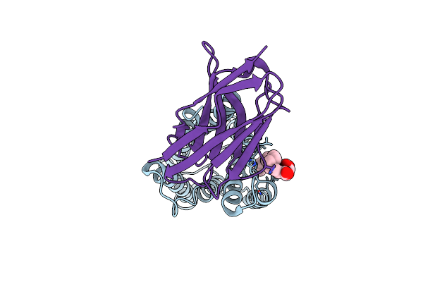 8APY image