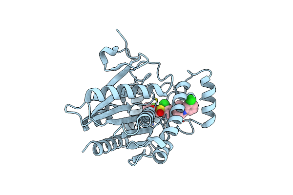 8AQF image