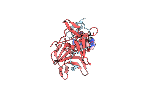 8AQK image
