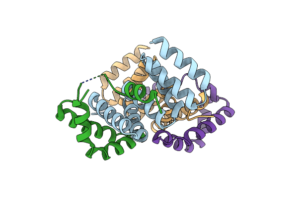 8ARC image