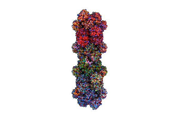 8ARI image