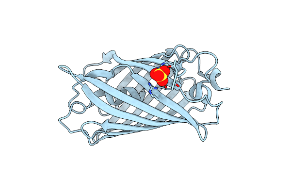 8ARM image
