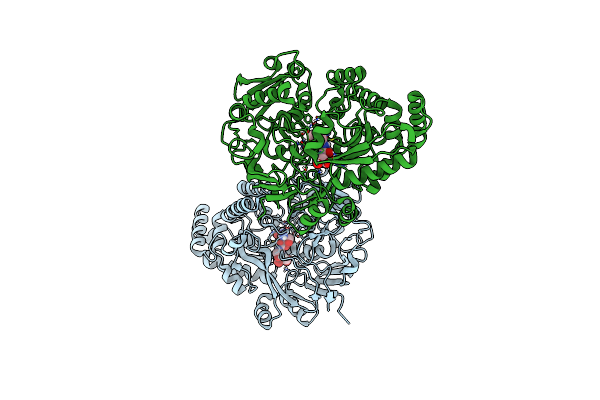 8ARN image