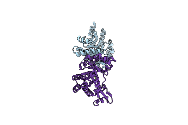 8ARV image