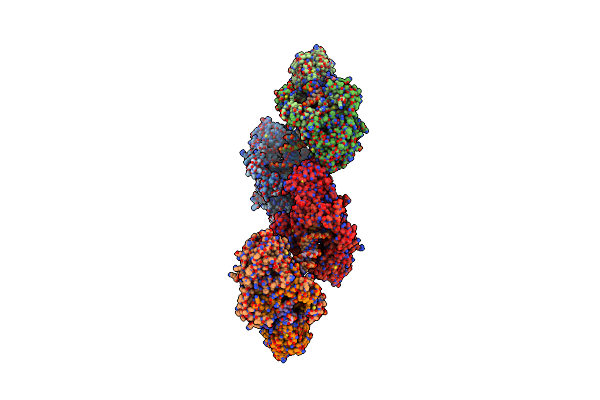 8ASC image
