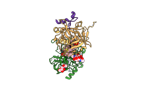 8ASE image