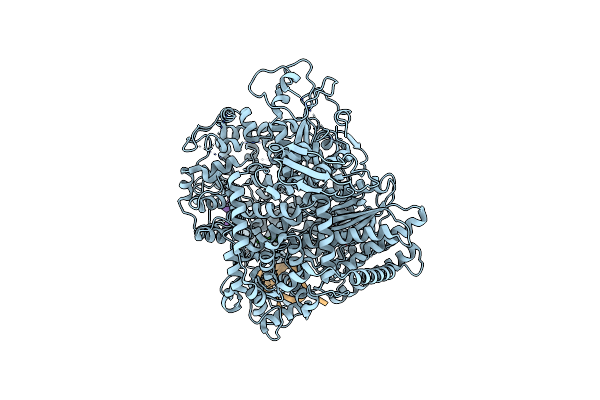 8ASG image