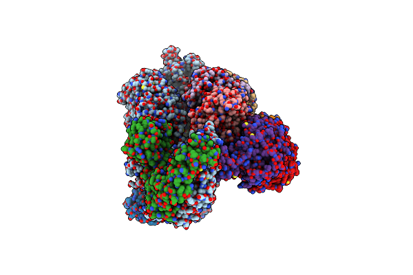 8ASV image