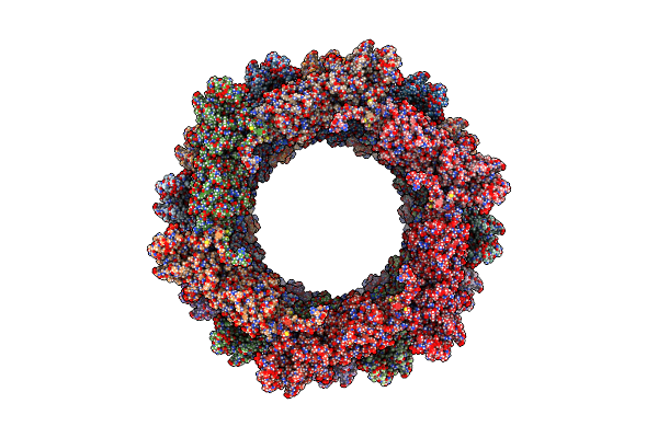 8AU1 image