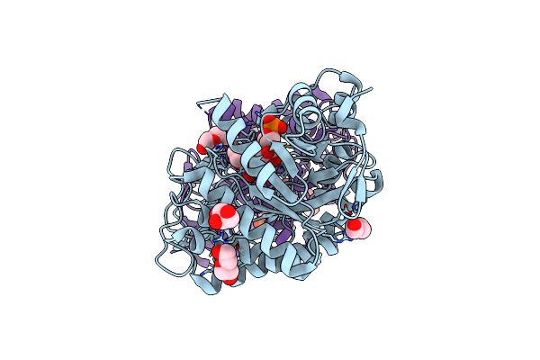 8AUM image