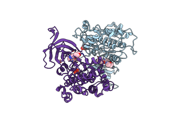 8AUZ image