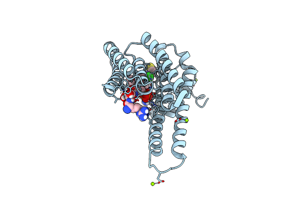 8AV0 image