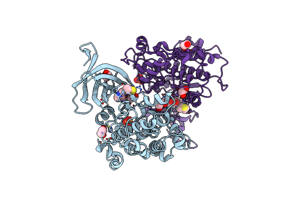 8AV1 image