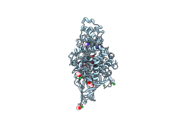 8AVA image