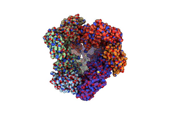 8AVC image